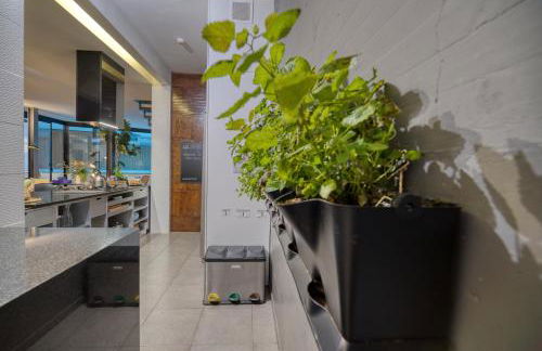 House Gallery 10 - Foto 52