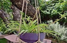 Casa con encanto junto a la playa de La Puntilla - Foto 6