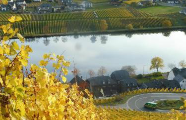 Ferienhaus Berkele für 8 bis 12 Personen - Foto 42