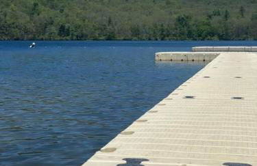 Historic Estate - 5 min to Mohawk Mt Ski Resort - Foto 57