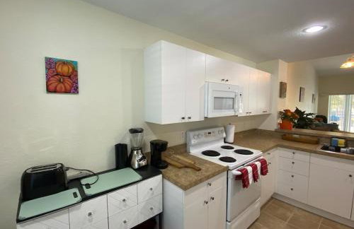 Florida condo close to Warm Mineral Springs - Foto 14