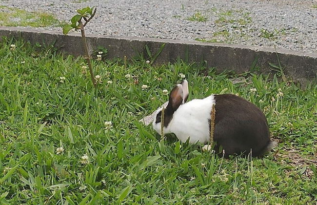 O Chale Encantado - Photo 27