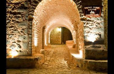 Arapakis Historic Castle - Foto 25