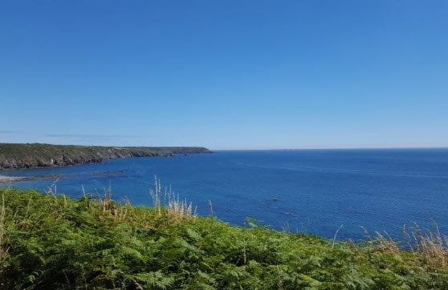 Immaculate 2 Bed Apartment on The Lizard Cornwall - Foto 15