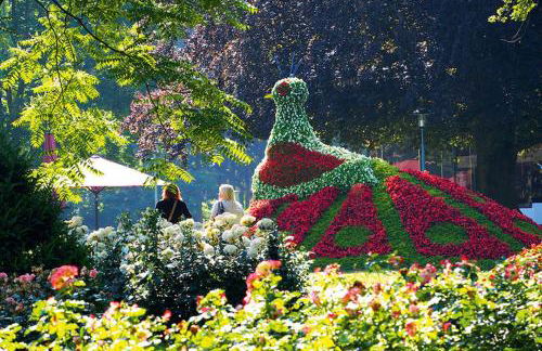 Maisonette am Belchen - Foto 19