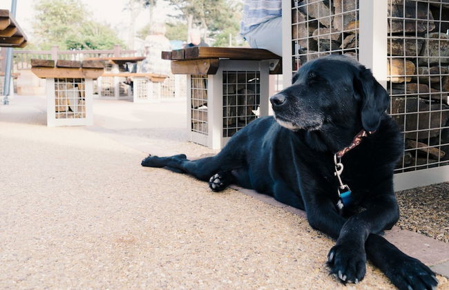 Newquay Bay Holiday Resort - Foto 67