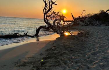 Zolla's House - Foto 36