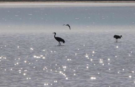 Casas rurales LA LAGUNA y LA BUHARDILLA DE LA LAGUNA - Foto 50