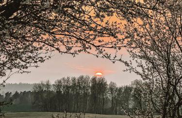 Między lasem, polem a jeziorem - domek na Mazurach - Foto 30