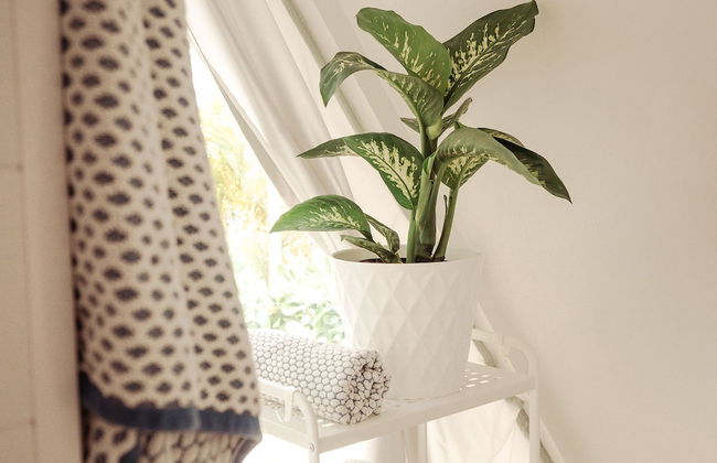 Pyramids in Florida - Foto 44