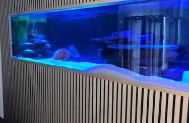 Terfyn Hall aquarium apartment 1 - Foto 30