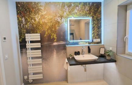 Premiumzeit Apartments Bostalsee - Whirlpool, Sauna - Foto 43