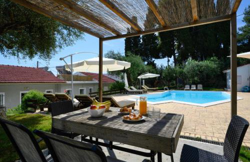 Olive Grove Poolside Apartments - Foto 19