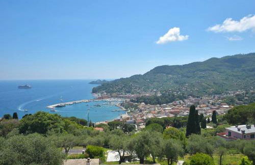 Andromeda Flexyrent - Foto 22