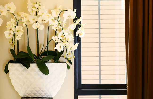 The Luxury Residence - Foto 18