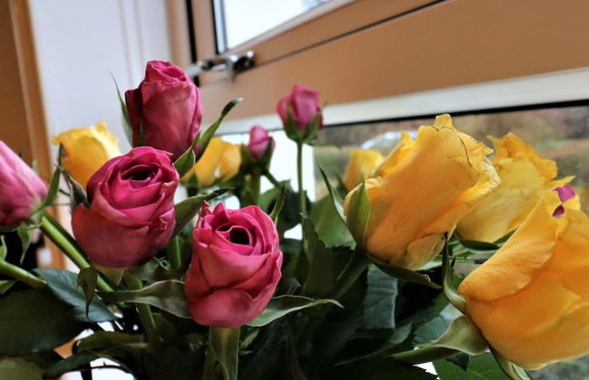 Carrick View - Cumbernauld - Foto 23