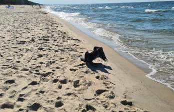 Dom Derbend na wyłączność - Foto 46