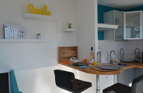 Le petit studieux - Parking - Animaux acceptés - Centre ville accessible à pied - Foto 2