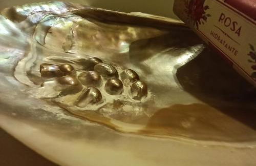 VALDEVAQUEROS HOUSE - Foto 43