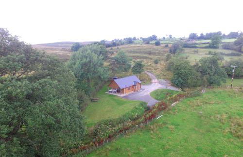 LLanddewi Retreat - Photo 12