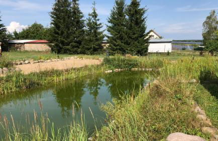 Ferienwohnung Orthsee 2 - Foto 9