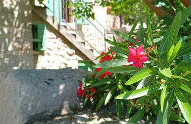 Traditional Stone House Adrian - Photo 1