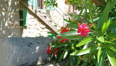 Traditional Stone House Adrian - Foto 1