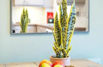 Modern 3 Bedroom Retreat Perfect for Families or Groups - Foto 24