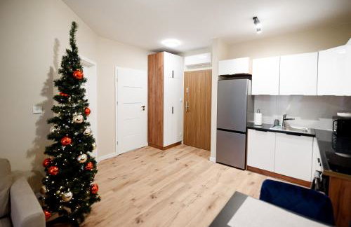 Apartamenty EUROPA - Foto 11