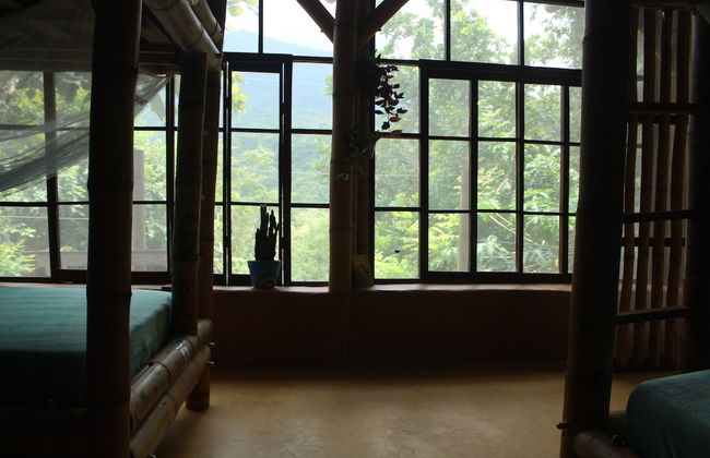 Sol de minca - Photo 14