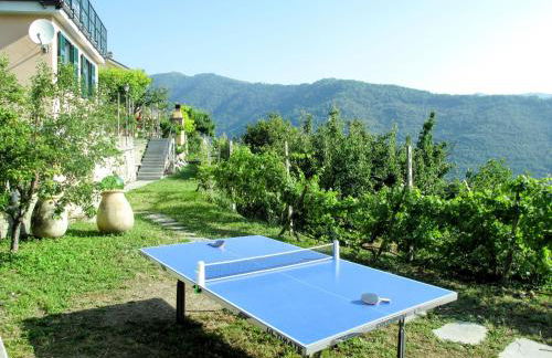 Apartment Viola - VLO203 by Interhome - Photo 49