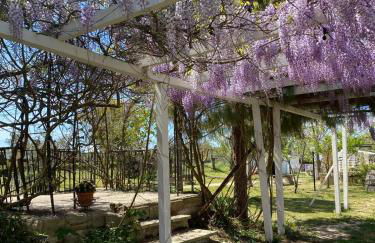 Agriturismo Tenuta la Monaca - Foto 56