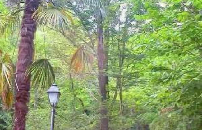 Agriturismo Casa del Bosco - Foto 43