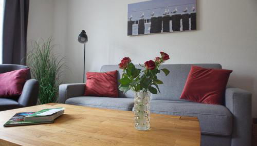 Midlum Zaunkönig - Foto 2