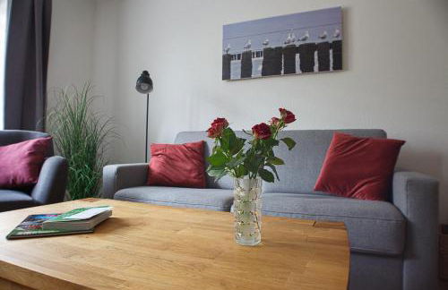 Midlum Zaunkönig - Foto 2