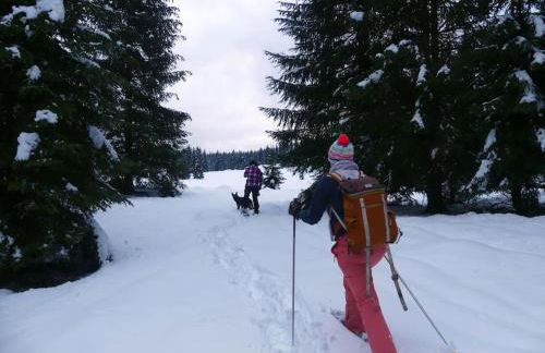 Studio avec belle vue proche du lac Genin Echallon - Photo 16