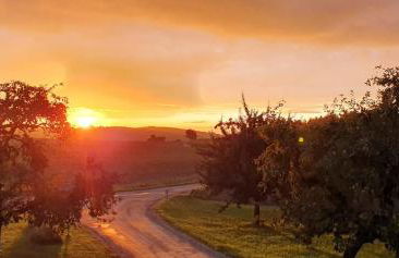 Zettis Ferienhäusle - Foto 29