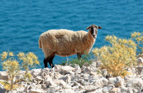 Modern Oceanview - Foto 18