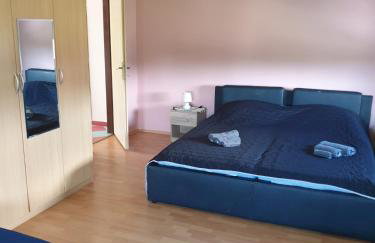 OLIVA DOM Čista Mala - Foto 11