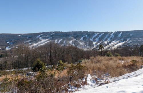 Maple Manor - Foto 21