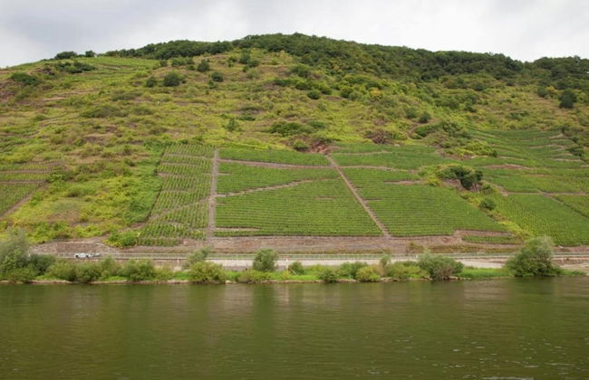 Ernst Lakeside Escape - Foto 38