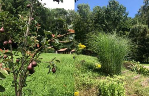 Superb Family Cabin with Mountain Views and Deck in Shandaken, New York - Foto 12