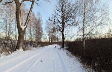 Świerkowe Ranczo Raciszewo - Foto 12