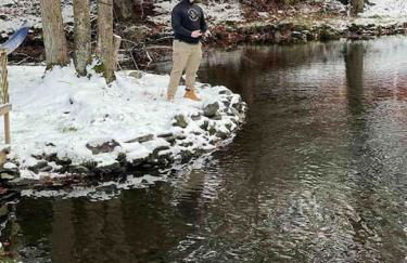 Peaceful Gateway to Island Creek Cottage - Foto 7