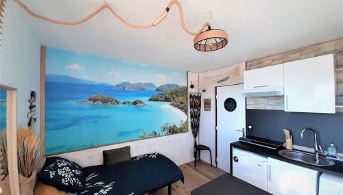 Songe Tropical-InvIRI. Studio CHU. Parking Aisé. - Foto 2