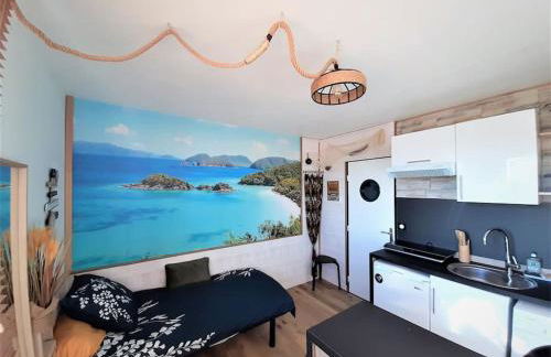 Songe Tropical-InvIRI. Studio CHU. Parking Aisé. - Foto 2