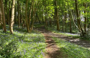 Primrose Cabin - Foto 19