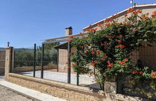 Casa Mequinenza - Photo 16