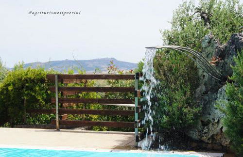 Agriturismo Signorini - Foto 64