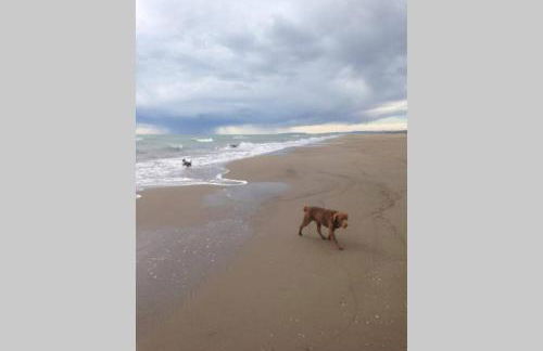 Lo Guaret. - Foto 47